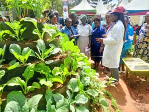 Farmers from Kimamba SHG – KALRO Vegetable Production Training